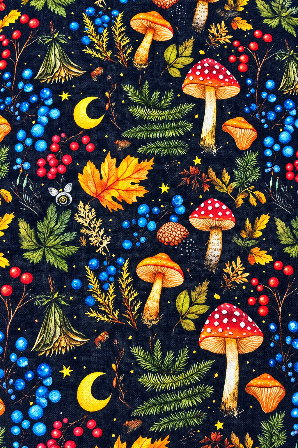 Pochette livre champignons đ